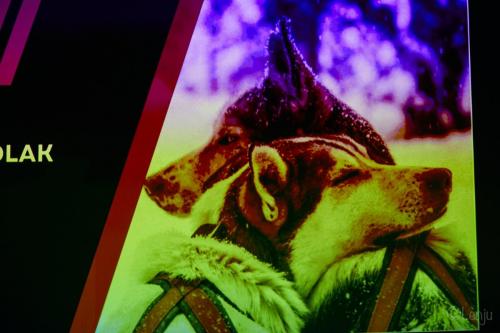 20230615_18_54_Lenju_3810