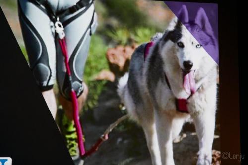 20230615_18_54_Lenju_3812