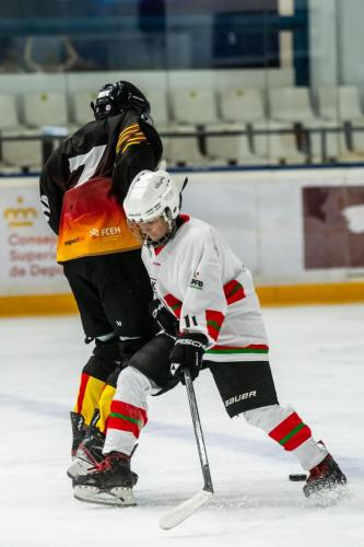 CESA_CAT-VASC(18may25)-1769