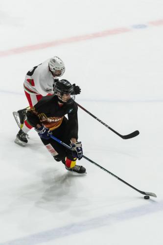 CESA_CAT-VASC(18may25)-1864