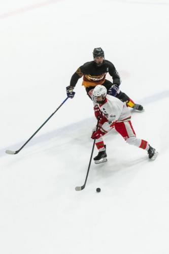 CESA_CAT-VASC(18may25)-1875