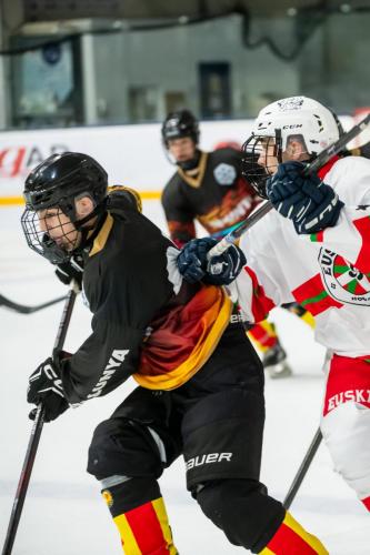 CESA_CAT-VASC(18may25)-2006