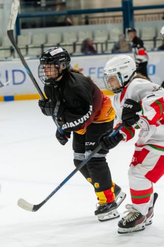 CESA_CAT-VASC(18may25)-2111