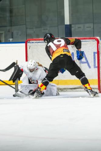 CESA_CAT-VASC(18may25)-2228