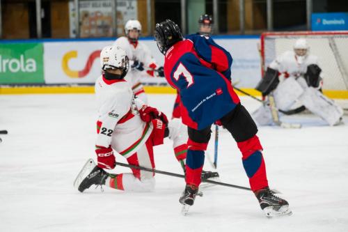 CESA_FMDI-NKEF(17may25)-0930