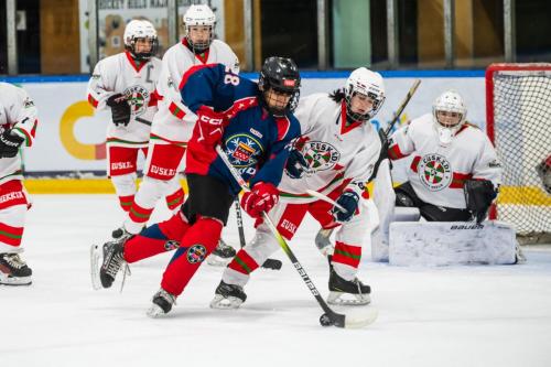 CESA_FMDI-NKEF(17may25)-1093